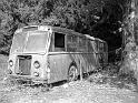 Autofriedhof - 224